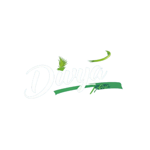 Divya Tours and Travels Logo